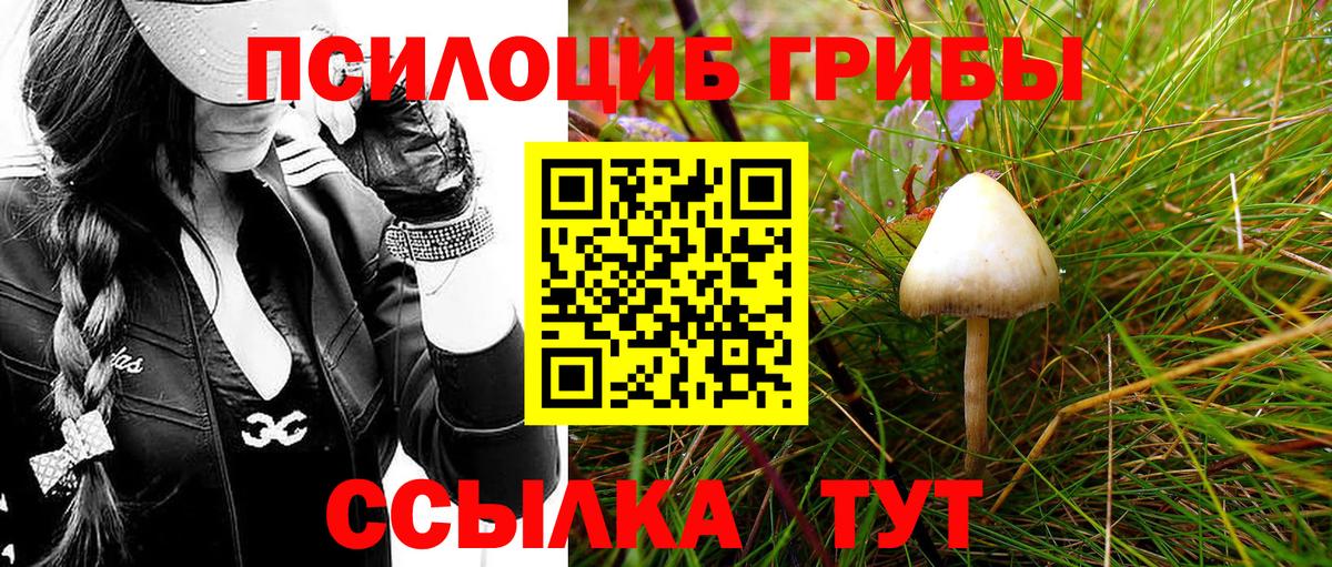 Галлюциногенные грибы Cubensis  Вход с VPN  Химки 